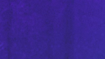 En exclusiva conversamos con Raúl de Molina y Lili Estefan, los conductores de El Gordo y la Flaca.