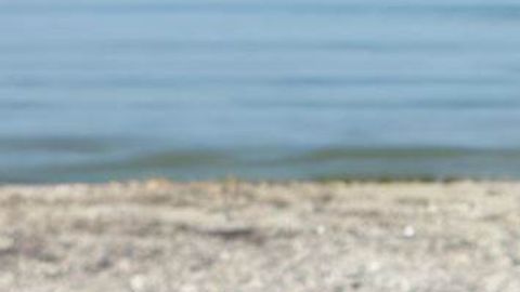 Ilustración del objeto misterioso encontrado en una playa de Australia.