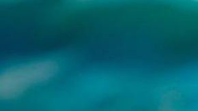 Ilustración de una botella con un mensaje en su interior.