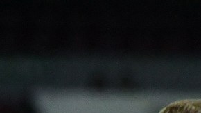 El equipo de Coapa fue ampliamente superado por los Bravos de Juárez.