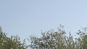 Acrópolis ola de calor