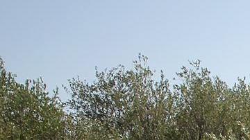 Acrópolis ola de calor