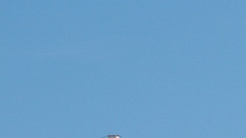SpaceX