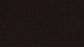 Leo Messi llega a Miami para su presentación con el Inter [Video]