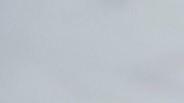 Foto: La cocina no muerde