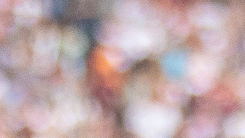 Épico: Hoffenheim de Alemania hace el mejor anuncio de un fichaje en lo que va del verano