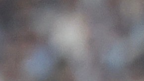 Autoridades de Fort Lauderdale dan la bienvenida a Leo Messi "a su nuevo hogar"