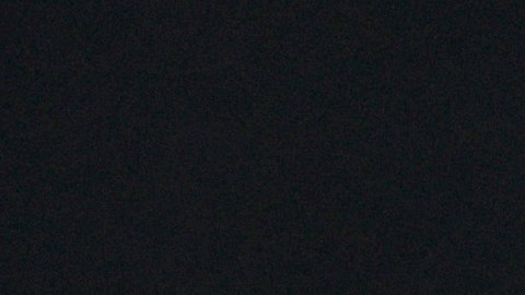 Debut de Messi con Inter Miami se convirtió en una constelación de estrellas: LeBron James, Serena Williams, Marc Anthony, Kim Kardashian y más [Fotos]