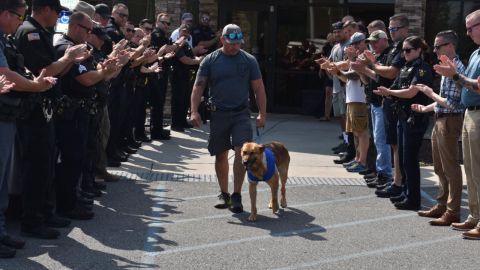 En la imagen aparece "Norbi", un heroico belga malinois.