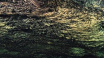 Imagen de la canoa maya descubierta.