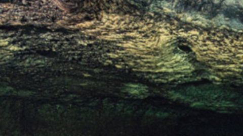 Imagen de la canoa maya descubierta.