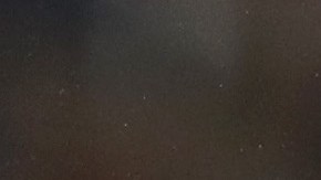 Homenaje a una leyenda: Inauguran la primera estatua de Usain Bolt en Estados Unidos [Foto]