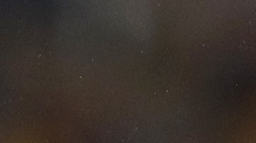 Homenaje a una leyenda: Inauguran la primera estatua de Usain Bolt en Estados Unidos [Foto]