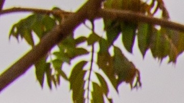 La pequeña comunidad está ubicada a solo una hora al noroccidente de la capital de Ecuador, a una altura de 2.650 metros sobre el nivel del mar,