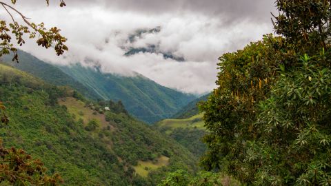 La pequeña comunidad está ubicada a solo una hora al noroccidente de la capital de Ecuador, a una altura de 2.650 metros sobre el nivel del mar,