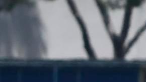 Arda Güler no ha podido debutar con el Real Madrid.