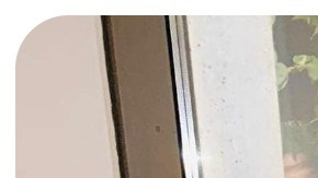 Carlethia “Carlee” Nichole Russell