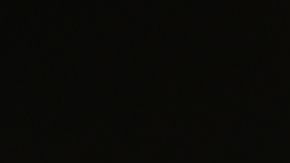 Seguridad de Ingreso Suplementario (SSI)