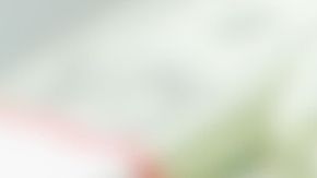 jubilados seguro social