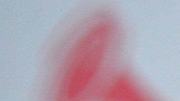 Lili Estefan no faltó a los Premios Juventud.