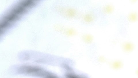 seguro-social-pago-directo