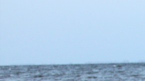 La Corriente de Vuelco Meridional del Atlántico, incluye la famosa Corriente del Golfo.