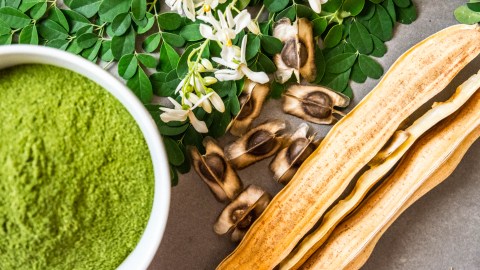 La moringa