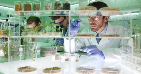 La industria alimentaria tiene el reto de producir comida para más de 10 mil millones de habitantes en 2050