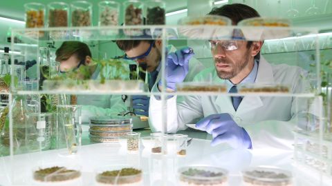 La industria alimentaria tiene el reto de producir comida para más de 10 mil millones de habitantes en 2050