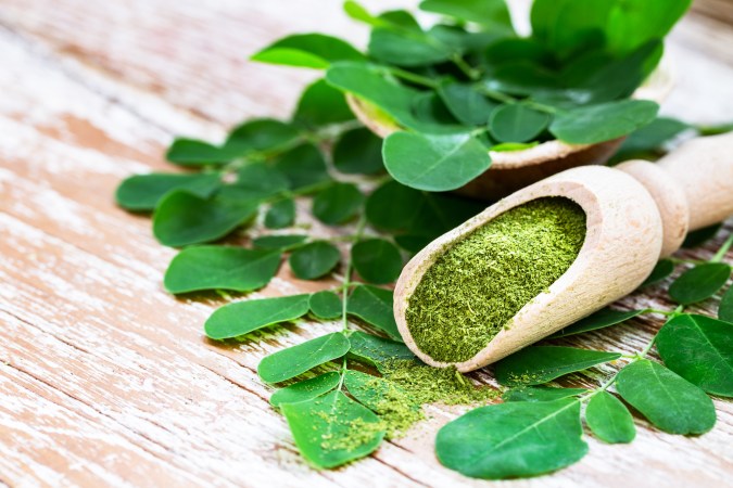 moringa