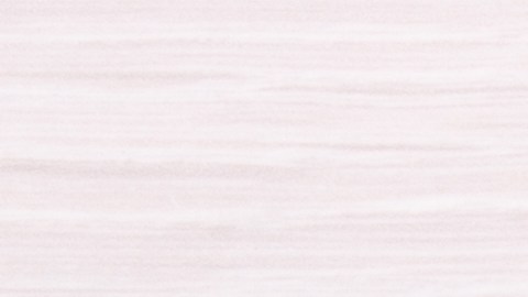 Descubre la relación entre la salud mental y los intestinos