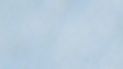 La ingesta de espirulina aumenta los niveles de hemoglobina en sangre, ayudando a prevenir y tratar la anemia.