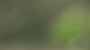 El llamado es a invertir masivamente en sistemas alimentarios sostenibles, equitativos, saludables y resilientes.