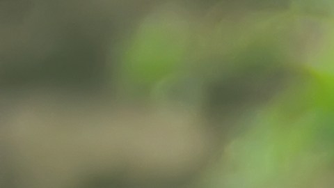 El llamado es a invertir masivamente en sistemas alimentarios sostenibles, equitativos, saludables y resilientes.
