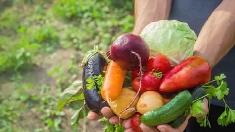 El llamado es a invertir masivamente en sistemas alimentarios sostenibles, equitativos, saludables y resilientes.