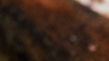 Las semillas de ajonjolí tiene una gran cantidad de calcio que ayuda con la salud de los huesos