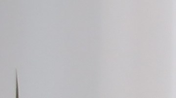 Young,Woman,With,Good,Posture,Meditating,At,Home,,Back,View