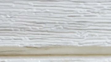 Hay cinco alimentos que ayuda a la salud intestinal por ser prebióticos