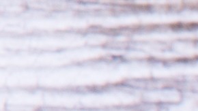 Las frutas con bajo IG y CG son aquellas que están en un rango de IG de menos de 55 y un CG menor que 10, incluyendo