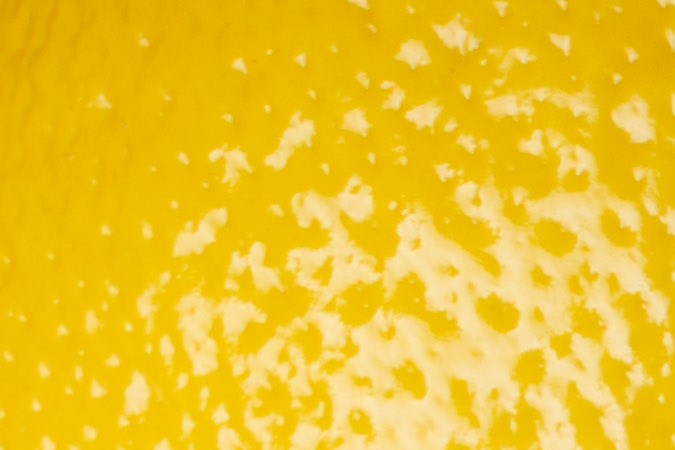 Vegetales de hoja verde