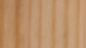 El plato de Harvard consiste en dividirlo en cuatro partes que representan un grupo de alimentos que deberíamos tomar en cada comida.