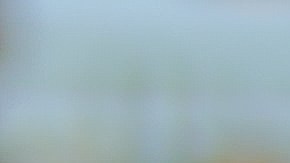 Propiedades de la piña