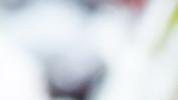 Las frutas  aunque es muy común congelarlas, lo cierto es que el frío extremo hace que pierdan su textura.