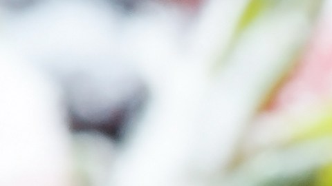Las frutas  aunque es muy común congelarlas, lo cierto es que el frío extremo hace que pierdan su textura.
