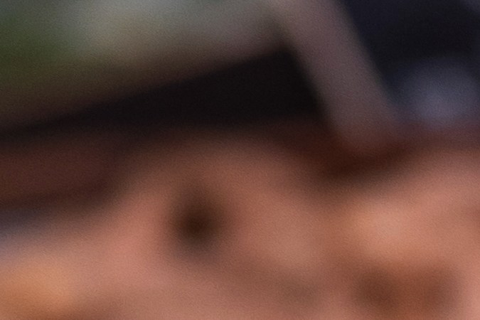 Del hinojo planta se aprovecha todo el bulbo, las hojas, los tallos, los frutos y las semillas