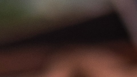 Del hinojo planta se aprovecha todo el bulbo, las hojas, los tallos, los frutos y las semillas