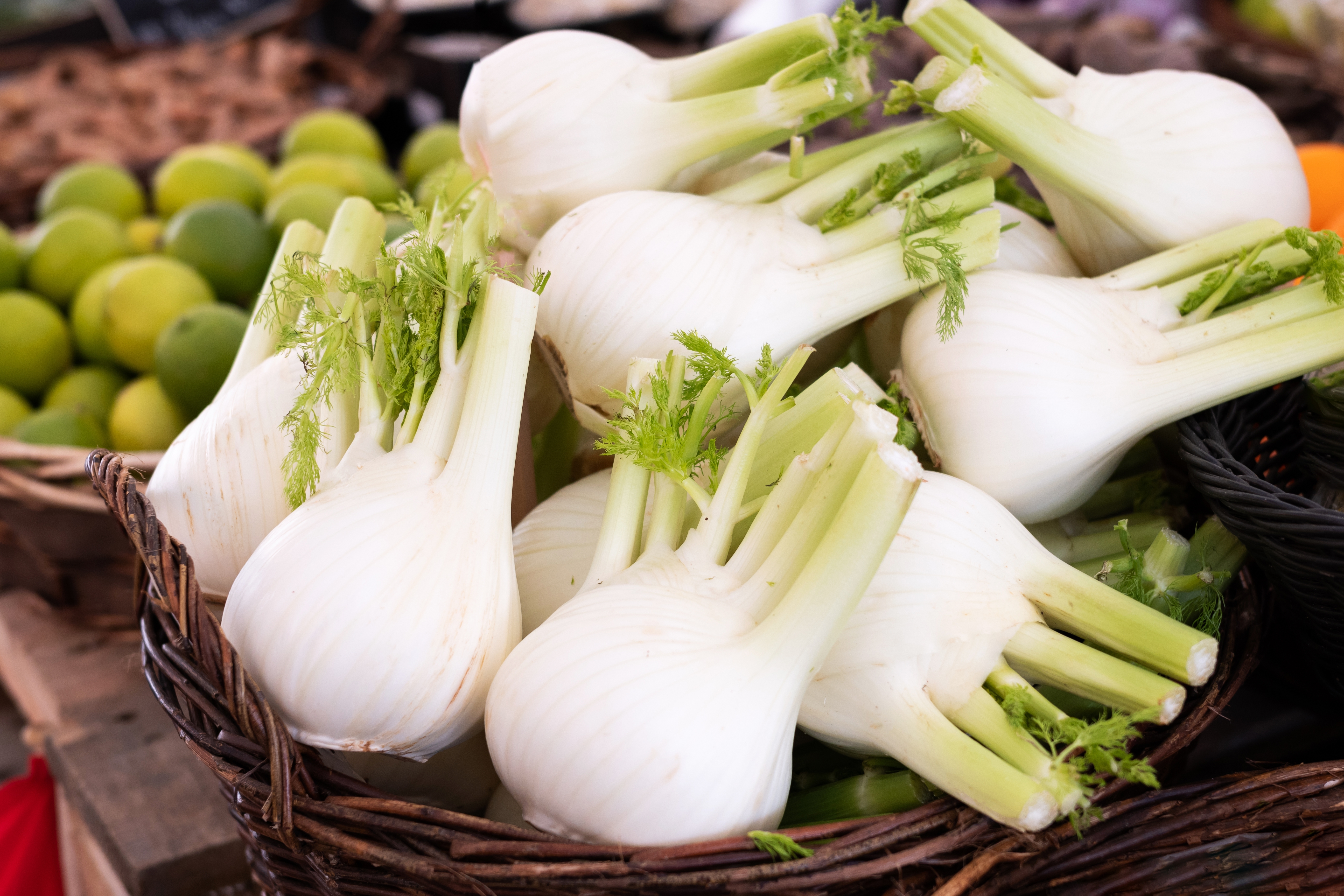 Del hinojo planta se aprovecha todo el bulbo, las hojas, los tallos, los frutos y las semillas