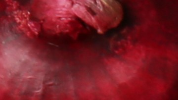 alimentos de colores