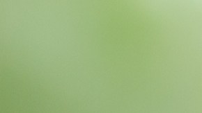 Vegetales de hoja verde