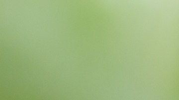 Vegetales de hoja verde